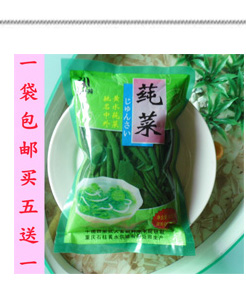 重庆石柱土特产新鲜黄水莼菜嫩叶芽蔬菜农家产品400g莼菜包邮