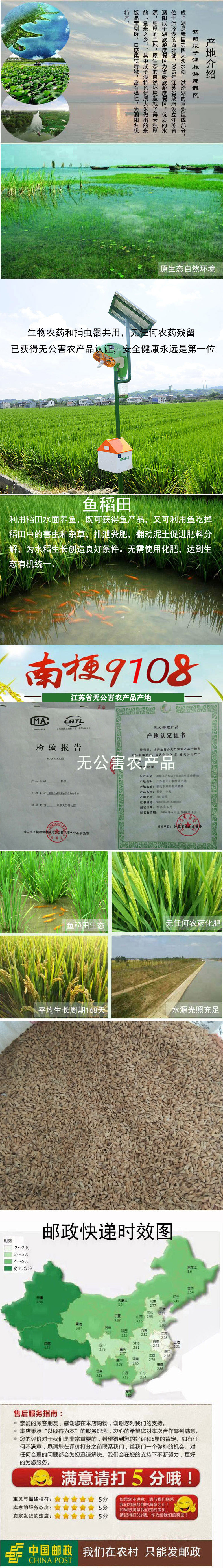 17年新稻谷南粳9108粳稻 无公害农产品认证茉莉香江苏农家5斤包邮